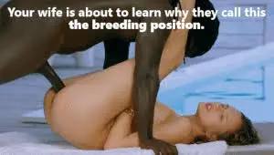 Breeding Slut Porn Captions 6