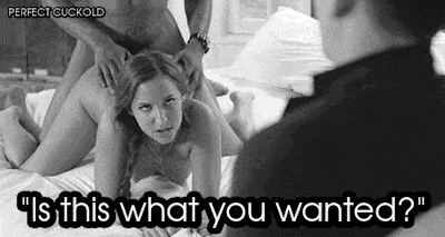 Best Reddit Cuckold Porn Gifs 62